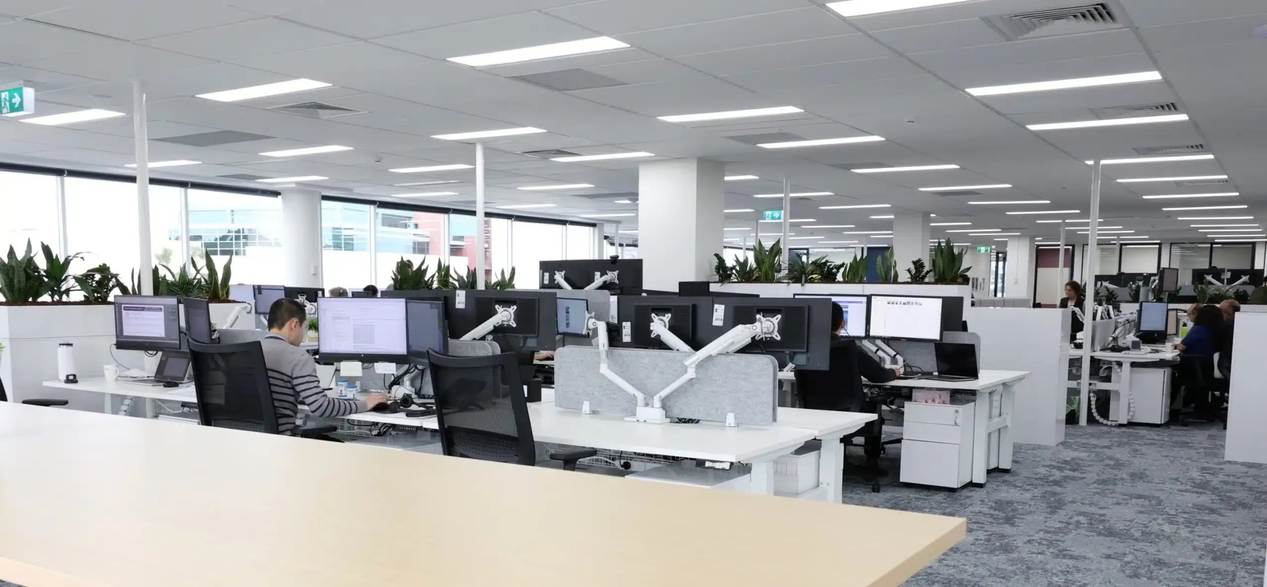 head-office-1-scaled.jpeg